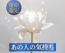 私のことどう思っている？タロットで占います 連絡が途切れた相手の本心と流れを示します。 イメージ1