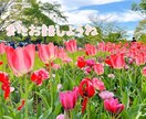 愚痴、悩み聞きます 疲れちゃった方話してホッとしませんか？お気軽に連絡ください♪ イメージ3