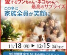 バナー画像・カバー画像、インスタ投稿画像等作ります 初心者さんも安心の納得保証！ご納得いただけるまで対応します イメージ4