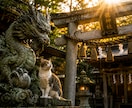 恋愛鑑定｜龍神言霊で未送信の恋を読み解きます 復縁・音信不通・片想い・複雑愛｜止まった恋をリブートします イメージ2