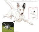 うちの子・ペットの似顔絵イラストを制作します 犬・猫・ペット全般｜色鉛筆画の温かみあるタッチで イメージ8