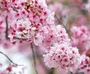 東京都内、その近郊の写真撮影を代行します 都市のイメージや風景写真を必要とされている方、簡単な動画も。 イメージ5