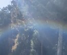 セクマイの方のお悩み全般　忖度なしで占います セクマイ(LGBTQ)の方に寄り添った占い、人生相談です。 イメージ1