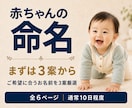 シンプル版｜赤ちゃんの名前を真・姓名判断します 必要項目に絞った低価格の命名入門プラン イメージ1