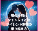 ツイレイのお相手とお悩みの方のお心に寄り添います ツインレイとは？お相手の関係に悩む複雑な心境に寄り添います イメージ1