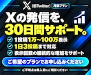 X【月額プラン30日間】インプレッション増加します 1万回増加★Twitterツイート回数無制限★毎日可★ イメージ10