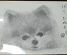 あなたの大切な写真をリアル風や抽象風な絵にします 24時間受付ます。最短1日で仕上げます。 イメージ1