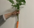 疲れた時の話し相手になります ただただ話を聞いた欲しい方！！！ イメージ1