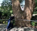 現役ナース♪お話し聞きます α波ボイスで癒します♪お試し5分〜長電話もどうぞ♪ イメージ2