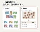 画像の一括処理・画像解析ツールを作成します 大量の画像の一括編集から、物の計数・計測まで対応 イメージ2