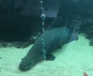 男女問わず心理カウセリングします 心理カウンセラーですので様々な悩み、相談、恋愛 イメージ4