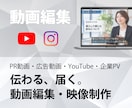 高品質！伝わる、届く動画制作/編集をします OP/ED作成や要約構成なども承ります イメージ1
