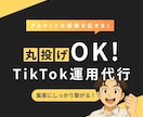 任せるならプロに！TikTok運用代行します 丸投げOK！プロマーケターがTikTok運用代行をします！ イメージ1