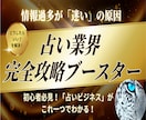 これ1つでOK占い初心者でも必要な情報がわかります 何から覚えたらいい？を解決！簡単マニュアルで占い師を目指す イメージ1