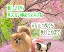 介護現場で働いている皆さんのお話し何でも聞きます 介護現場の愚痴や相談、何でもお聞きします イメージ5