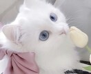 JKが沢山お話します 仲良くお話してください！どんな話でも大丈夫です！ イメージ1