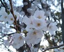できるだけなんでも相談承ります あなたの心暖めさせてください。 イメージ1