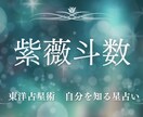 紫微斗数(東洋占星術)で貴方の人生を占います 紫微斗数【中国の透派】で依頼者様の人生を鑑定します。 イメージ1