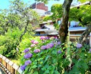 京都の四季の写真提供しています 京都の何気ない風景や四季の風景写真 イメージ1