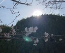楽しい人生へと導くお手伝いをします 心の声に気づき幸せな毎日を送れるように背中を押す人です♡ イメージ1