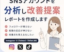SNSアカウントを分析し改善提案します 現状の課題を見える化し、次にやるべきことを明確にします イメージ1