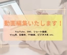 動画編集いたします 丁寧な編集でみなさまにご満足いただけるように イメージ1