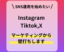 SNSマーケティング・運用の壁打ちをします プロのSNS戦略・マーケティングリサーチ関連アドバイス イメージ2
