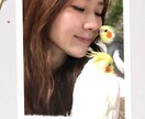 30分間チャット内であなたの友達になります どんなお話でもOKです♡30分間であなたの心をほぐします。 イメージ1