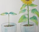 植物、動物等のペン画をかきます 手書きによる個性あるイラストを。 イメージ2