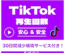 TikTok日本人再生「10万回～」増やします 【最短即日完了】保証あり｜減少なし｜振分け可能 イメージ1