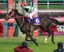 毎週競馬の穴馬など有力な情報を流します レースごとに来る確率が高い馬を提供させてもらいます イメージ1
