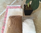 チンしてカイロ”米ぬか温湿布”の作り方を伝授します 子宮を温めて身体の芯から幸せに！ イメージ2