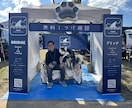 懐かない野犬（保護犬）が家族になるサポートをします （水族館で多くの野生動物経験を、野犬のしつけに活用） イメージ4