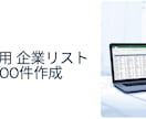 公開情報ベースの企業リスト100件作成します 条件指定OK 【営業用】 HPがある企業に限定してリスト作成 イメージ1