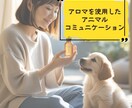 アロマを使ったアニマルリーディングをいたします アロマの香りを通して深くペットさんと繋がります イメージ1