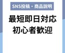 初心者歓迎！SNS投稿・商品説明を即日作成します 低価格×即日対応で高品質な文章を作成します イメージ1