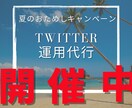 激安！プロが15日間Twitter運用代行します 今、一番もとめられているTwitter運用代行サービスです。 イメージ1