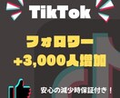 破格でTikTokフォロワー増加します 安心安全高品質！減少保証あり！！ イメージ1