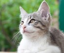 同業者必見！治療家の為のお悩み相談をします 患者様を治すことや、就職前後の相談。なんでも構いません！！ イメージ8
