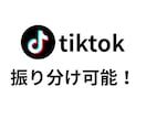 tiktokのフォロワー2000人増やします ✨オプションで2000人以上もOK✨振り分け可能✨ イメージ3