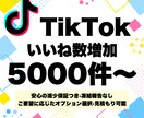 TikTokのいいね数を5000件増加させます ★11月限定6000いいね同価格★12時間以内返信 イメージ1