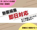 動画編集即日対応します すぐに投稿したいけど時間がないあなたに イメージ1