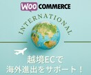 WordPressで越境ECサイトお作りします 英語はネイティブが翻訳いたします！ イメージ1