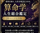 20ページで人生を徹底鑑定します 宿命を知り、人生を味方につける。 イメージ1
