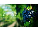先着10名様限定でモニター価格で提供します 現役Webデザイナーが安心価格でバナー制作します！ イメージ6
