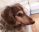 辞めたいけど辞められないネトゲの相談に乗ります 20000時間費やしたネトゲを一瞬で辞めた私が考えるコツ イメージ1