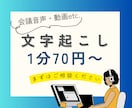 字幕納品もOK！文字起こしいたします 字幕ファイルでの納品も対応可能！ イメージ1