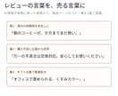 楽天・Amazonレビューを48時間で分析します お客様の不満と強みを見える化。次に直す一手がわかる イメージ5