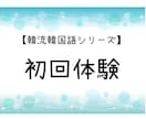 初回体験はこちら！わかりやすくレッスンします 様々なテーマに沿ってわかりやすく！ イメージ1