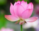 復縁を望むかたに九星気学からの復縁鑑定します 彼を深掘り復縁の可能性/NG行動/アプローチ/相性の読み解き イメージ8